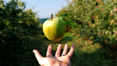 【引力】○○があれば、なぜか良いことが引き寄せられる（菅野一勢）